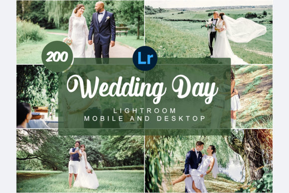 Download Wedding Day Mobile and Desktop PRESETS - Desktop Collection