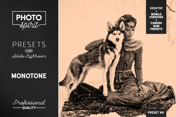 Download Monotone LR Presets Mobile + Desktop - Desktop Collection