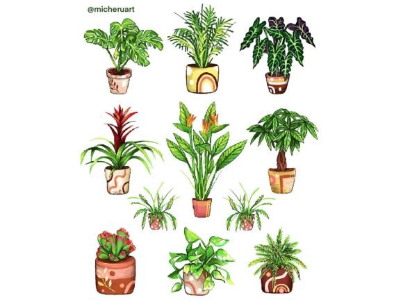 Download Potted Indoor Plants - Premium Resources