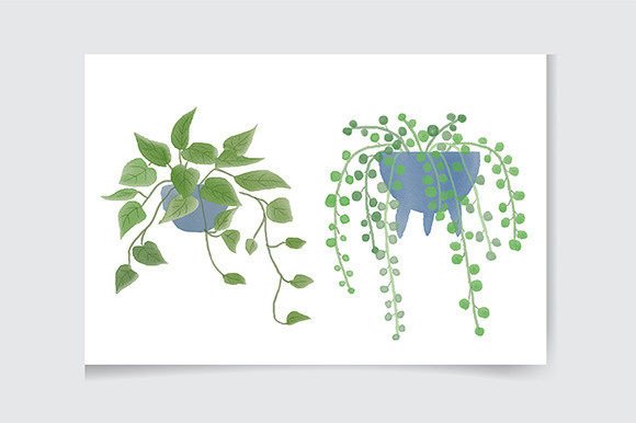 Download House Plant Clipart, Indoor Plants - Premium Resources