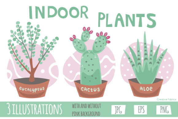 Download Indoor Plants - Premium Bundle