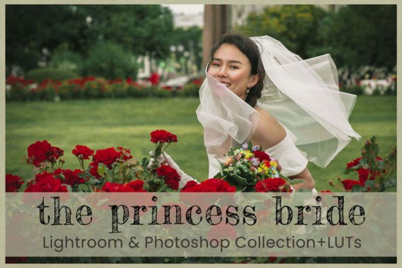 Download Princess Bride Lightroom Presets Desktop - Desktop Collection